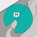 p3.png