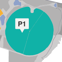 P1_NOVO.png