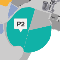 P2_NOVO.png
