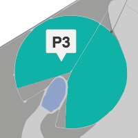 P3_NOVO.png