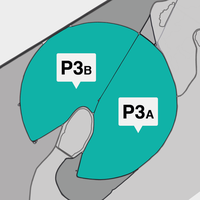 p3_v2.png