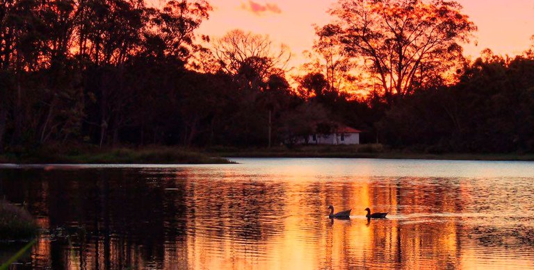 A imagem mostra uma bela vista do sítio agroecológico durante o pôr do sol, à frente pode-se avistar o lago com dois gansos nadando e ao fundo a casa sede