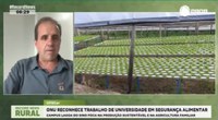 Participação da UFSCar na COP30 e reconhecimento da ONU são temas da Record News Rural